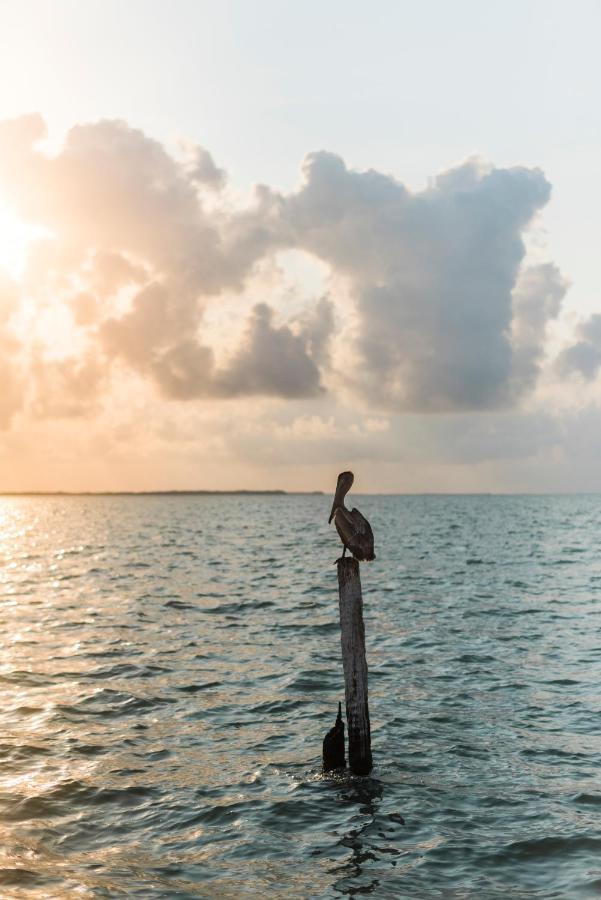Slickrock Belize Adventures Glovers Reef エクステリア 写真